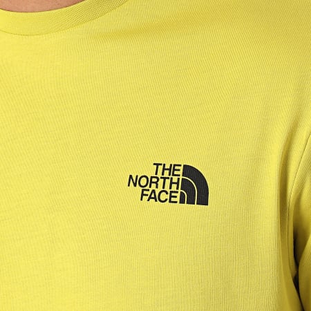 The North Face - Tee Shirt Simple Dome A2TX5 Vert Clair