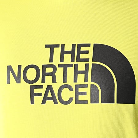 The North Face - Tee Shirt Easy A2TX3 Vert Clair