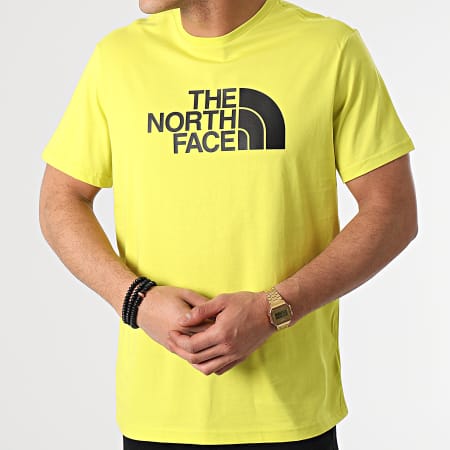 The North Face - Tee Shirt Easy A2TX3 Vert Clair