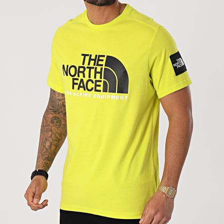 The North Face - Tee Shirt Fine Alp 2 A4M6NJE3 Vert Vif