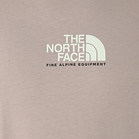 The North Face - Tee Shirt Fine Alpine Equipment 3 A4SZUVQ8 Gris Taupe