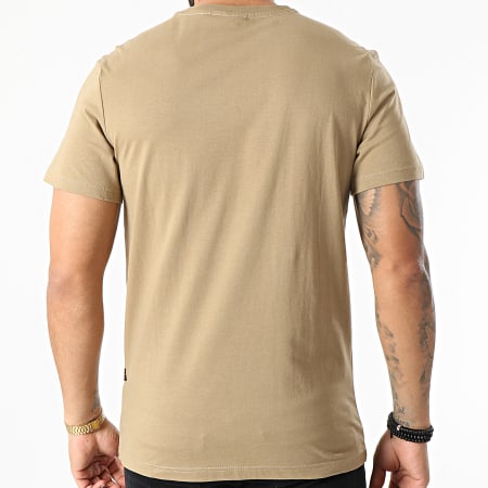 G-Star - Tee Shirt Compact Jersey D16411-336 Camel