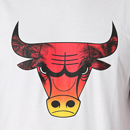 New Era - Tee Shirt Summer City Infill Chicago Bulls 12720094 Blanc