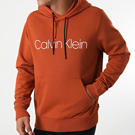 Calvin Klein - Felpa con cappuccio in cotone con logo 7033 Brick