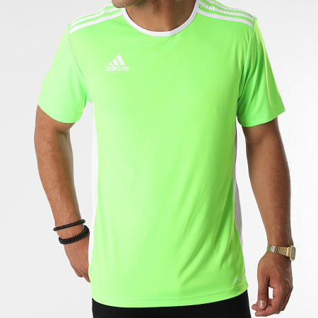 Adidas Performance - Camiseta Entrada 18 Rayas CE9758 Verde