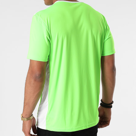 Adidas Sportswear - Maglietta Entrada 18 Band CE9758 Verde