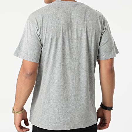 Lapins Crétins - ABYTEX360 camiseta gris jaspeado
