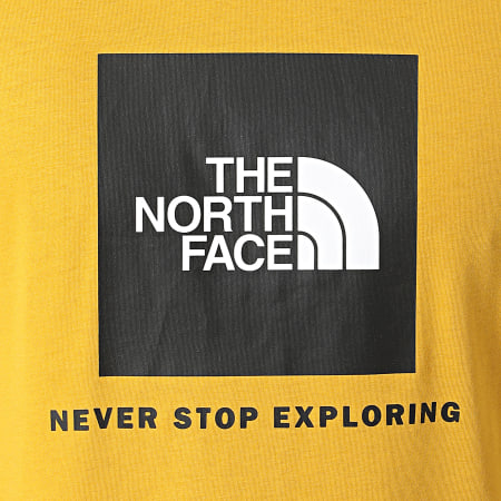 The North Face - Tee Shirt Raglan Red Box A3BQO Jaune Moutarde