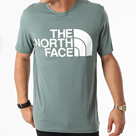 The North Face - Tee Shirt Standard A4M7X Vert Foncé