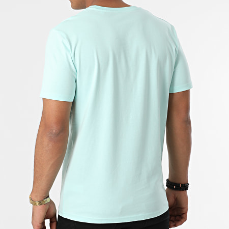 Bun Hay Mean - Tee Shirt Silhouette Mint