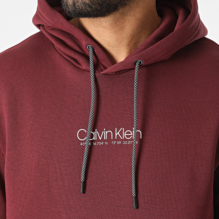 Calvin Klein - Sudadera con capucha Coordinates Logo 8057 Burdeos