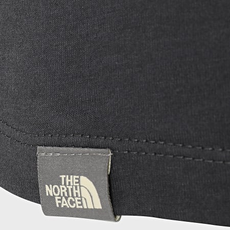 The North Face - Tee Shirt Enfant Easy Gris Anthracite