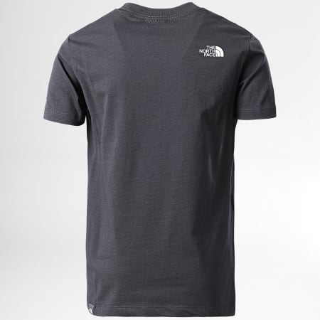 The North Face - Camiseta de niño Simple Dome Gris antracita