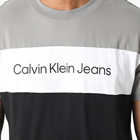 Calvin Klein - Tee Shirt 0184 Noir Gris Blanc