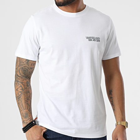 Timberland - Tee Shirt Stacked Logo A2NAT Blanc