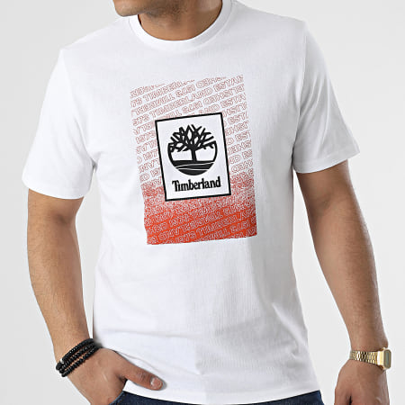 Timberland - Tee Shirt Graphic A282T Blanc