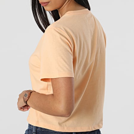The North Face - Tee Shirt Femme Crop Foundation Rose