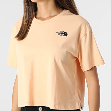 Tee Shirt Femme Crop Simple Dome Rose