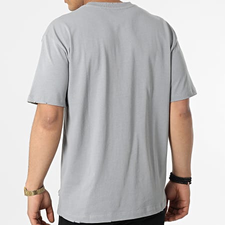 Classic Series - Camiseta Oversize Grande FT-6112 Gris