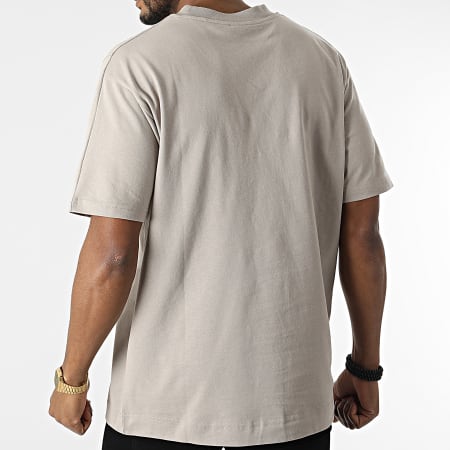 Classic Series - Tee Shirt Oversize Large KL-0526 Gris