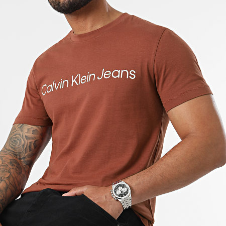 Calvin Klein - Tee Shirt Institutional Logo 5344 Brique