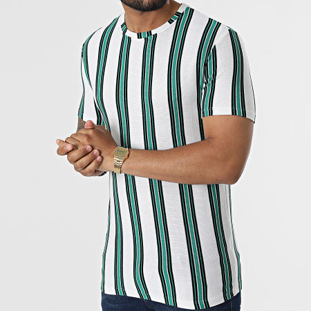 Frilivin - Tee Shirt à Rayures FL Blanc Vert