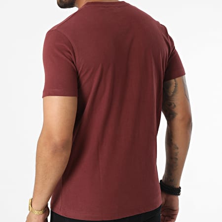 US Polo ASSN - Tee Shirt Mick Bordeaux