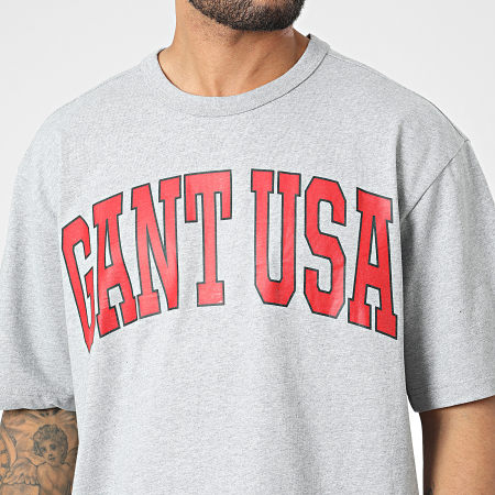 Gant - Tee Shirt Oversize Large USA Graphic 2003147 Gris Chiné