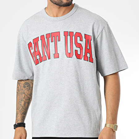 Gant - Tee Shirt Oversize Large USA Graphic 2003147 Gris Chiné
