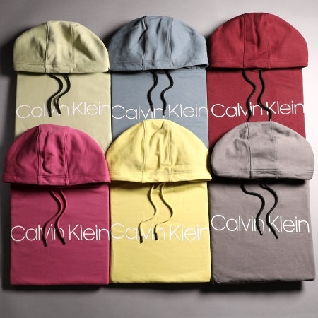 Calvin Klein - Sweat Capuche Cotton Logo 7033 Vert Clair