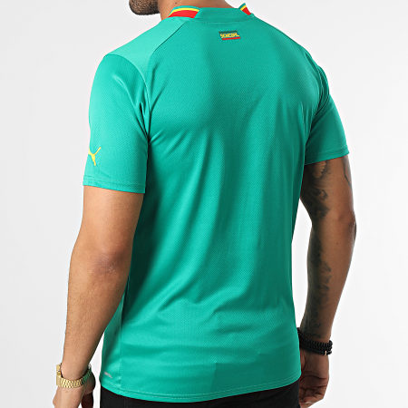 Puma - Tee Shirt FSF Away Jersey Replica 765698 Vert