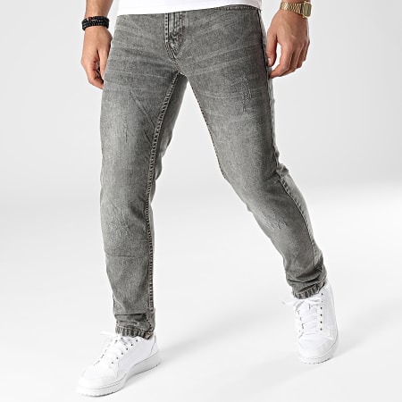 Classic Series Mr Red Slim Jeans Light Destroy DP1009 Gris Ryses