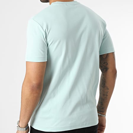 Calvin Klein - Tee Shirt Cotone Comfort 9894 Verde chiaro
