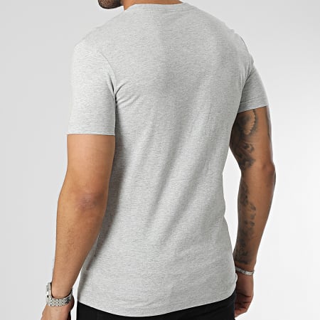 Calvin Klein - Micro Monologo Tee Shirt 2466 grigio erica