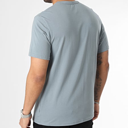 Calvin Klein - Camiseta NM2170E Gris