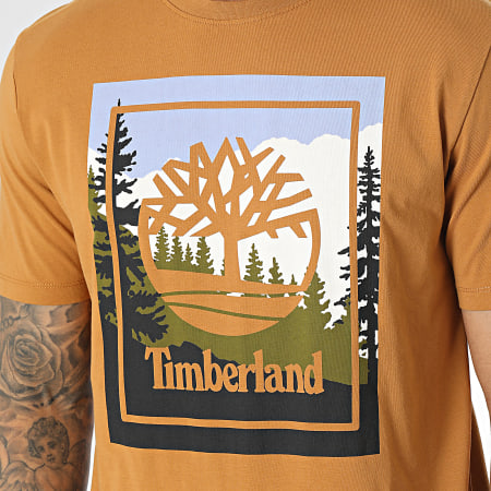 Timberland - Tee Shirt Outdoor Graphic A6F4K Camel