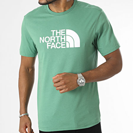 The North Face - Camiseta Easy Green
