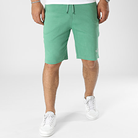 The North Face - Short Jogging Graphic A3S4F Vert
