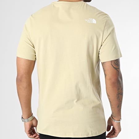 The North Face - Tee Shirt HD Beige