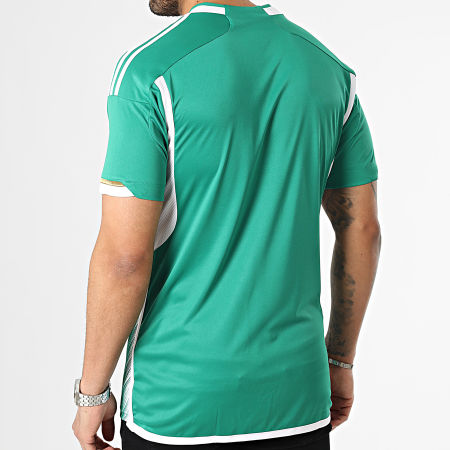 Adidas Sportswear - FAF Maglietta a righe HE9256 Verde