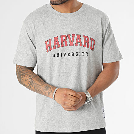 Classic Series - Tee Shirt Oversize Large Harvard Gris Chiné Blanc