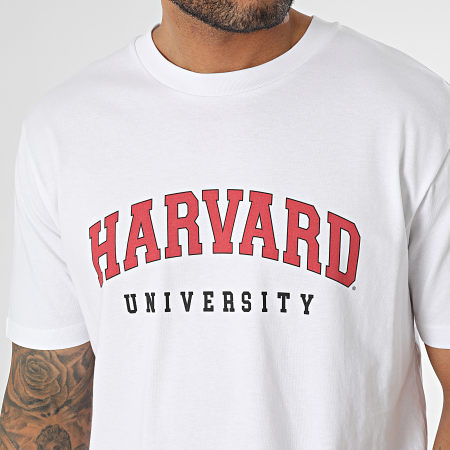 Classic Series - Tee Shirt Oversize Large Harvard Blanc