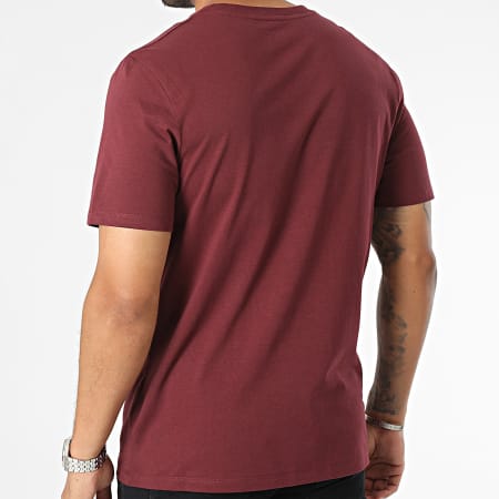 Timberland - Tee Shirt Wind Water Earth And Sky A27J8 Bordeaux