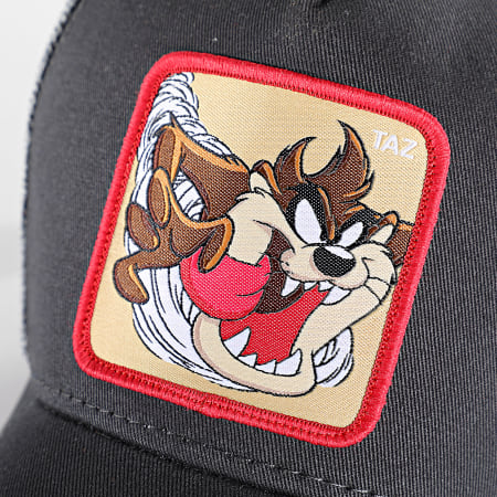 Von Dutch trucker cap in green & brown