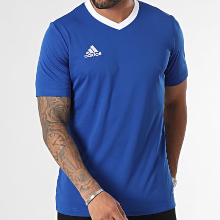 Adidas Sportswear - Tee Shirt Col V Ent22 HG6283 Bleu Roi