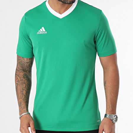 Adidas Sportswear - Tee Shirt Col V Ent22 HI2123 Vert