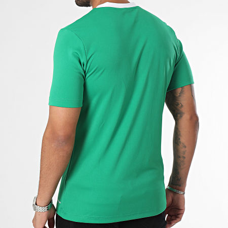 Adidas Sportswear - Tee Shirt Col V Ent22 HI2123 Vert