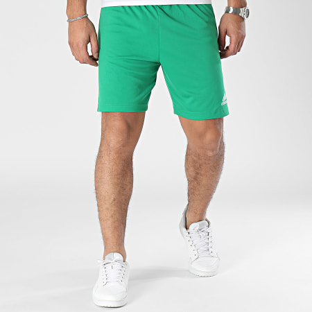 Adidas Sportswear - Short Jogging Ent22 IC7405 Vert