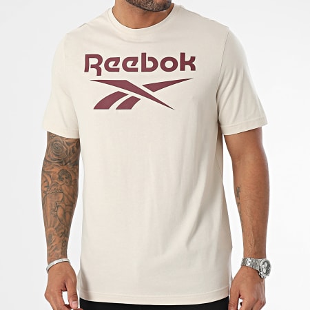 Reebok Camiseta Big Stacked Logo Beige Ryses