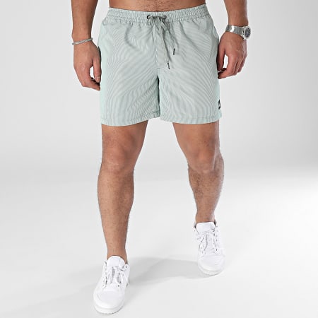 Quiksilver - Shorts de baño Everyday Deluxe Volley Stripe AQYJV03152 Blanco Verde